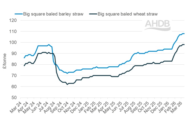 A line graph showing GB big bale straw weekly prices 15 March 2026.